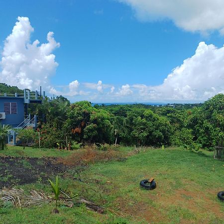 Rooster Run Glamping Camping Has Rooftop And Off The Ground Glamping Experience For 1 To 16 In A Single Tent And Views Of The Rain Forrest And To Culebra Across The Atlantic Ocean W Tents, Linens, Deluxe Air Beds, Warm Shower And More At A Great Pric Vieques Dış mekan fotoğraf