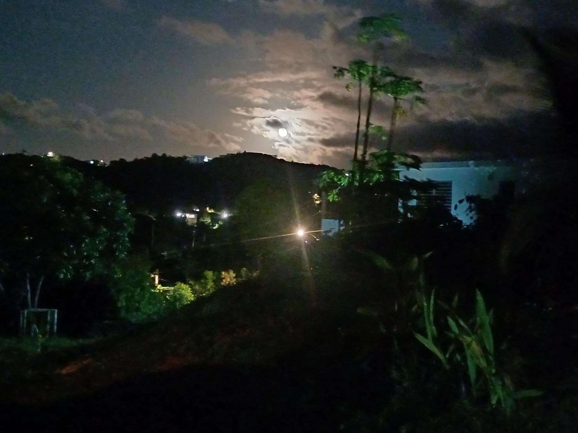 Rooster Run Glamping Camping Has Rooftop And Off The Ground Glamping Experience For 1 To 16 In A Single Tent And Views Of The Rain Forrest And To Culebra Across The Atlantic Ocean W Tents, Linens, Deluxe Air Beds, Warm Shower And More At A Great Pric Vieques Dış mekan fotoğraf