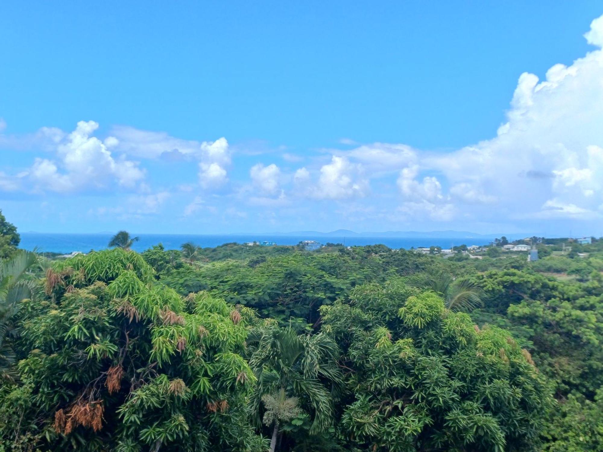 Rooster Run Glamping Camping Has Rooftop And Off The Ground Glamping Experience For 1 To 16 In A Single Tent And Views Of The Rain Forrest And To Culebra Across The Atlantic Ocean W Tents, Linens, Deluxe Air Beds, Warm Shower And More At A Great Pric Vieques Dış mekan fotoğraf