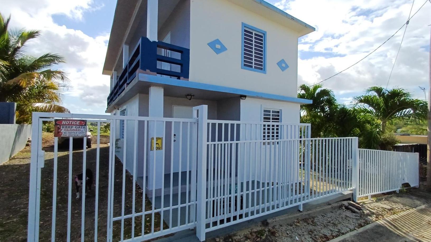 Rooster Run Glamping Camping Has Rooftop And Off The Ground Glamping Experience For 1 To 16 In A Single Tent And Views Of The Rain Forrest And To Culebra Across The Atlantic Ocean W Tents, Linens, Deluxe Air Beds, Warm Shower And More At A Great Pric Vieques Dış mekan fotoğraf