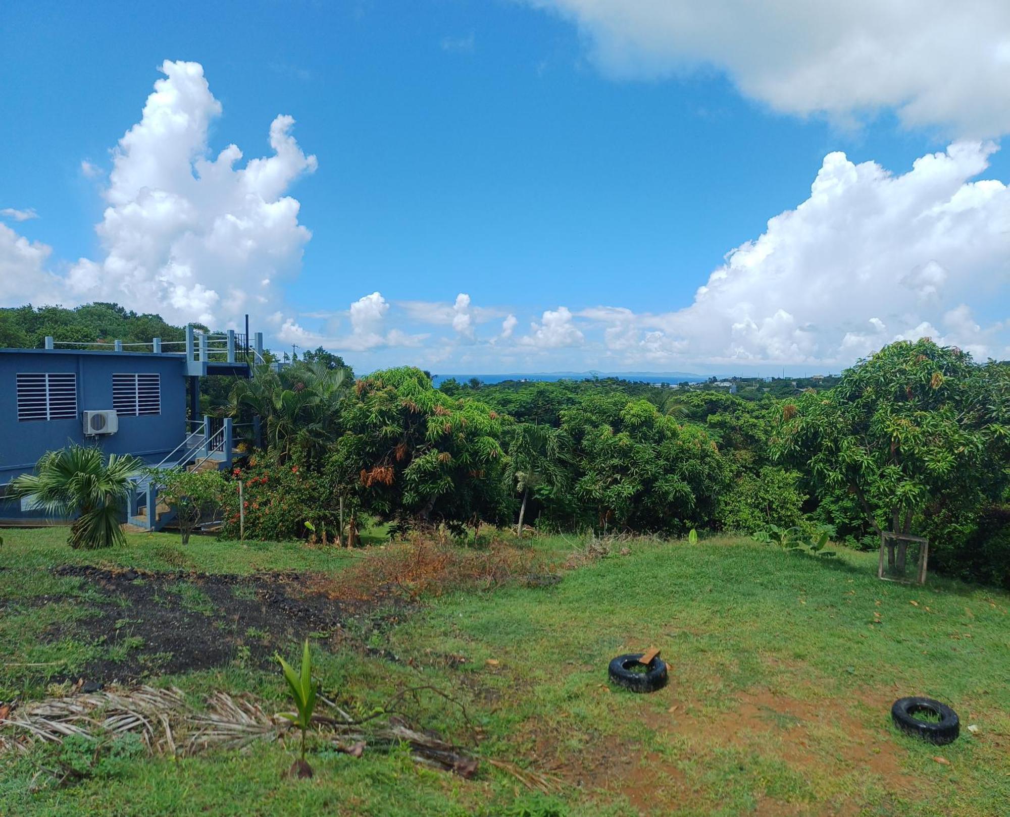 Rooster Run Glamping Camping Has Rooftop And Off The Ground Glamping Experience For 1 To 16 In A Single Tent And Views Of The Rain Forrest And To Culebra Across The Atlantic Ocean W Tents, Linens, Deluxe Air Beds, Warm Shower And More At A Great Pric Vieques Dış mekan fotoğraf