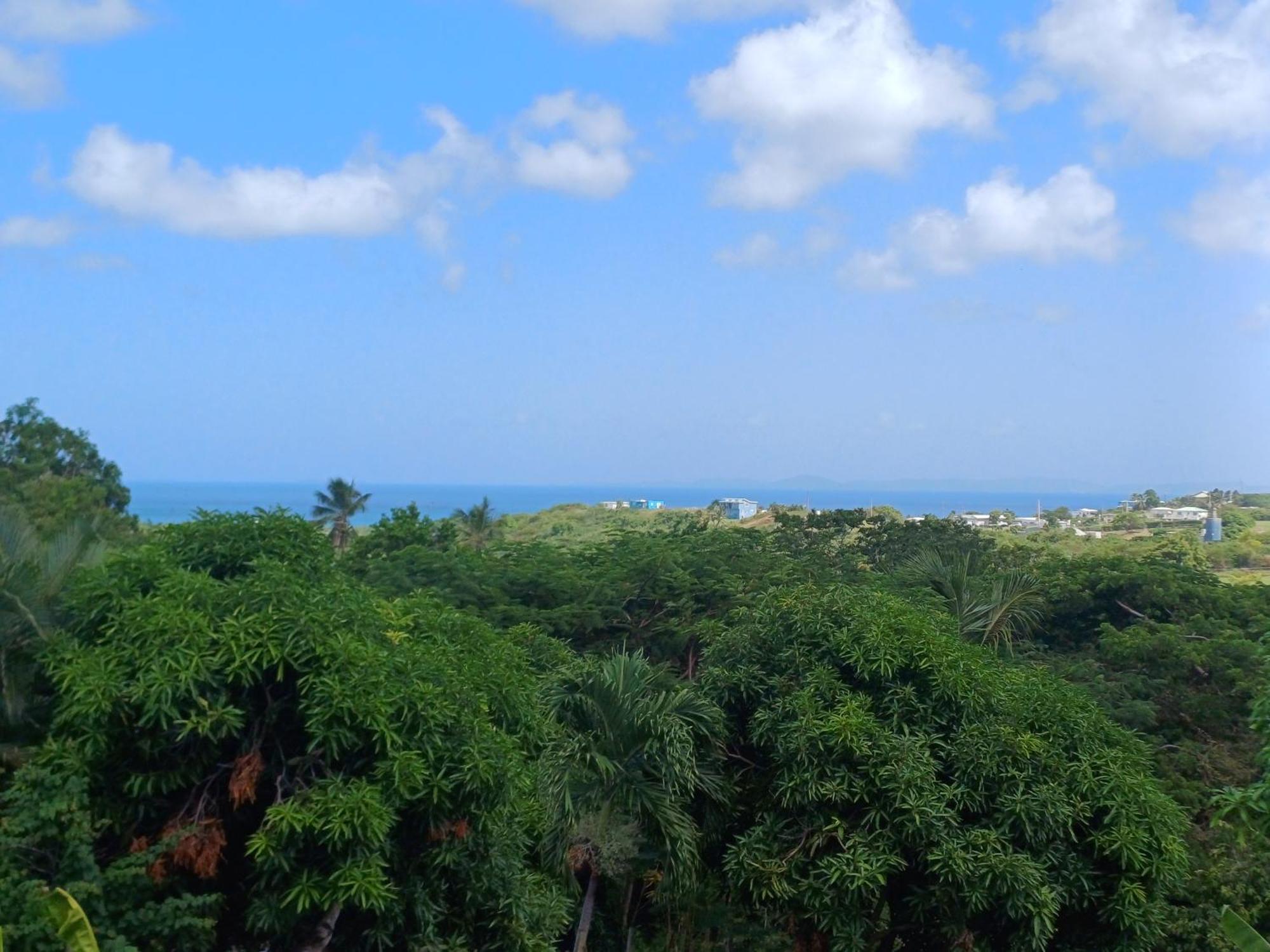 Rooster Run Glamping Camping Has Rooftop And Off The Ground Glamping Experience For 1 To 16 In A Single Tent And Views Of The Rain Forrest And To Culebra Across The Atlantic Ocean W Tents, Linens, Deluxe Air Beds, Warm Shower And More At A Great Pric Vieques Dış mekan fotoğraf