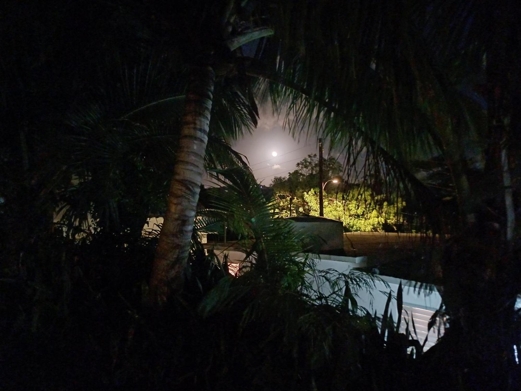 Rooster Run Glamping Camping Has Rooftop And Off The Ground Glamping Experience For 1 To 16 In A Single Tent And Views Of The Rain Forrest And To Culebra Across The Atlantic Ocean W Tents, Linens, Deluxe Air Beds, Warm Shower And More At A Great Pric Vieques Dış mekan fotoğraf