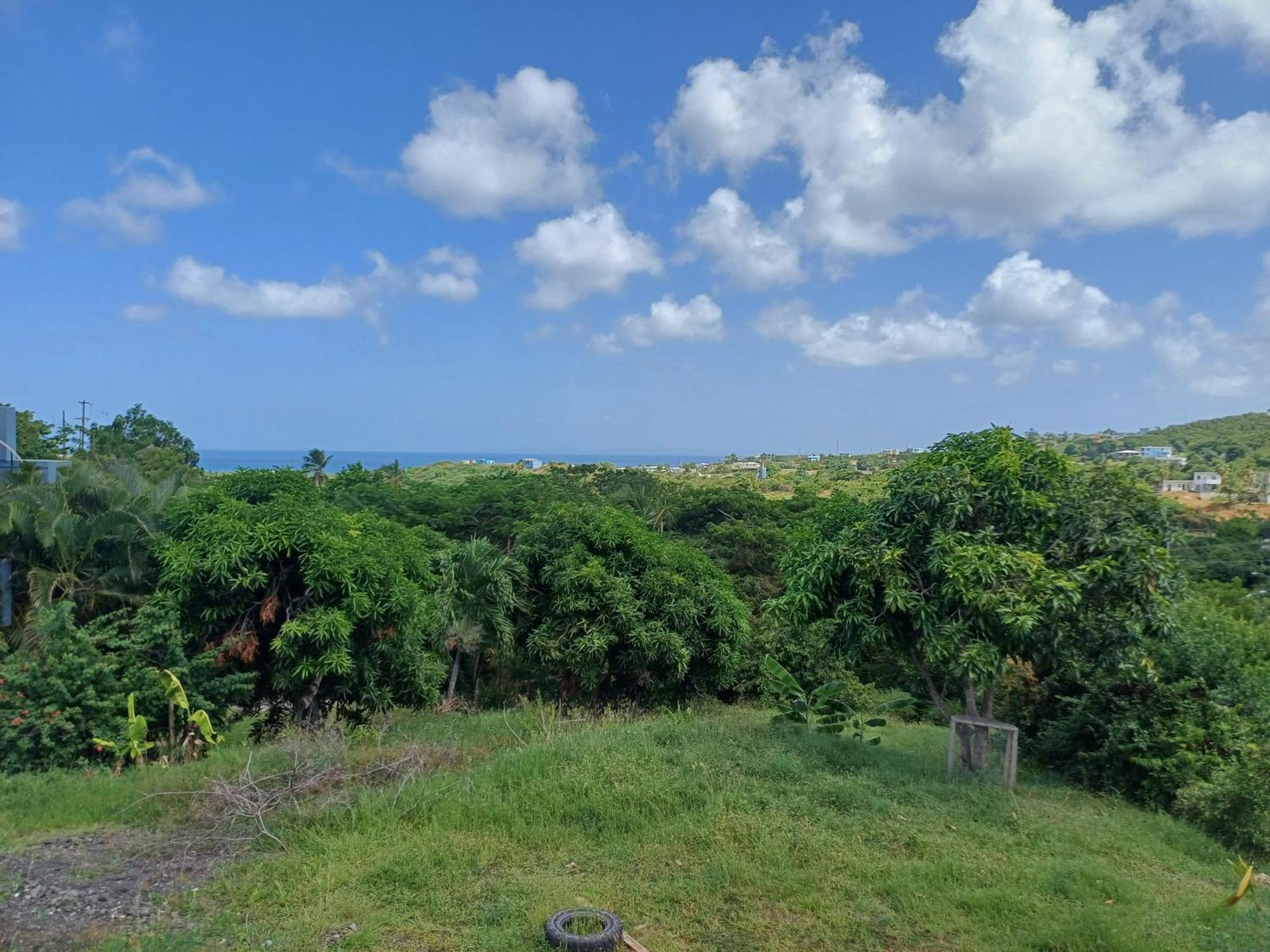 Rooster Run Glamping Camping Has Rooftop And Off The Ground Glamping Experience For 1 To 16 In A Single Tent And Views Of The Rain Forrest And To Culebra Across The Atlantic Ocean W Tents, Linens, Deluxe Air Beds, Warm Shower And More At A Great Pric Vieques Dış mekan fotoğraf
