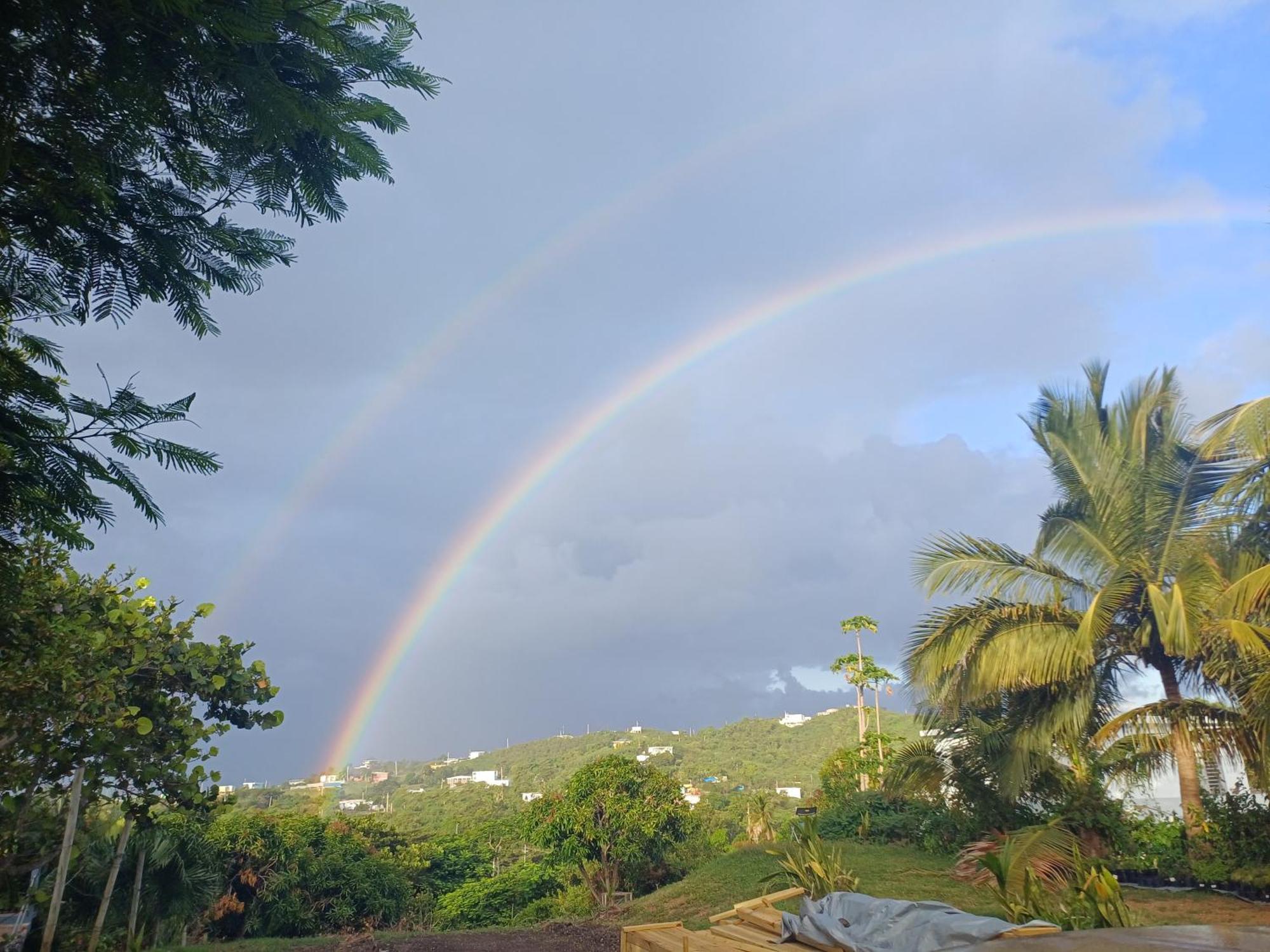 Rooster Run Glamping Camping Has Rooftop And Off The Ground Glamping Experience For 1 To 16 In A Single Tent And Views Of The Rain Forrest And To Culebra Across The Atlantic Ocean W Tents, Linens, Deluxe Air Beds, Warm Shower And More At A Great Pric Vieques Dış mekan fotoğraf
