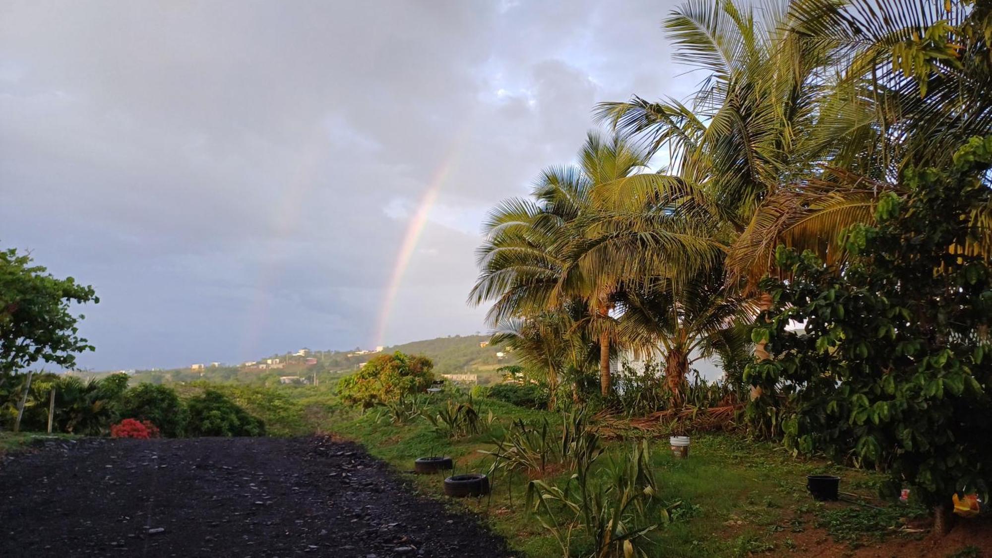 Rooster Run Glamping Camping Has Rooftop And Off The Ground Glamping Experience For 1 To 16 In A Single Tent And Views Of The Rain Forrest And To Culebra Across The Atlantic Ocean W Tents, Linens, Deluxe Air Beds, Warm Shower And More At A Great Pric Vieques Dış mekan fotoğraf