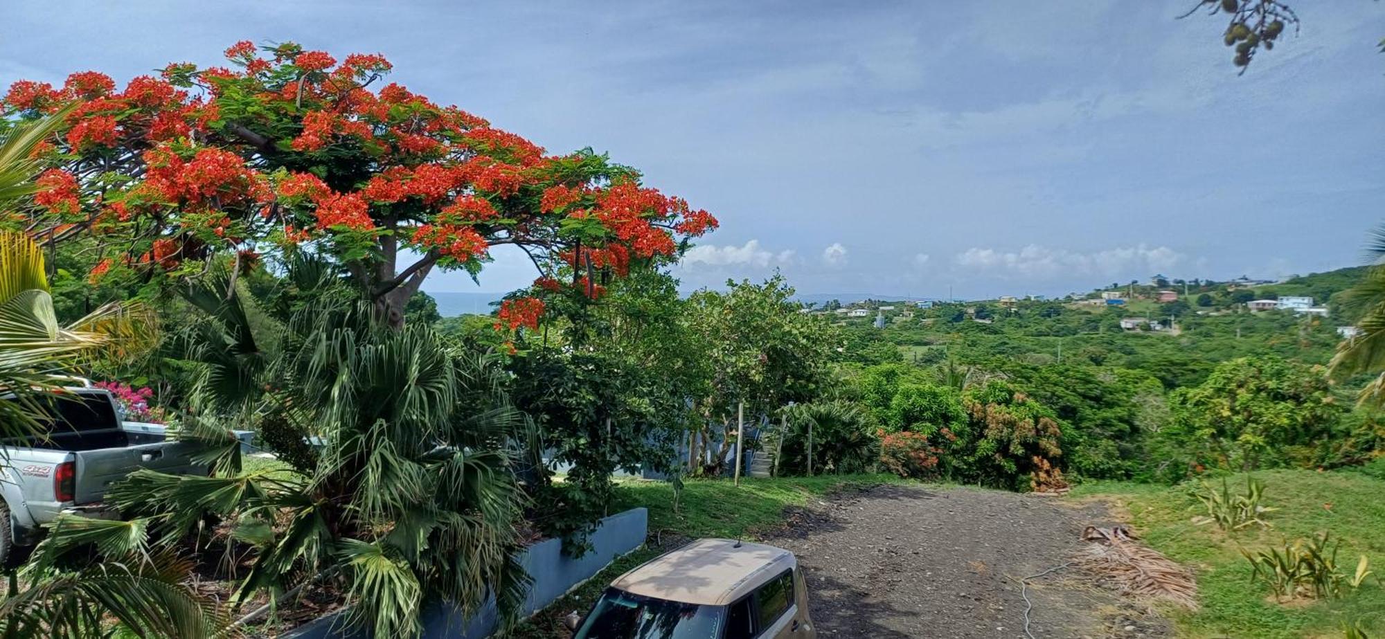 Rooster Run Glamping Camping Has Rooftop And Off The Ground Glamping Experience For 1 To 16 In A Single Tent And Views Of The Rain Forrest And To Culebra Across The Atlantic Ocean W Tents, Linens, Deluxe Air Beds, Warm Shower And More At A Great Pric Vieques Dış mekan fotoğraf