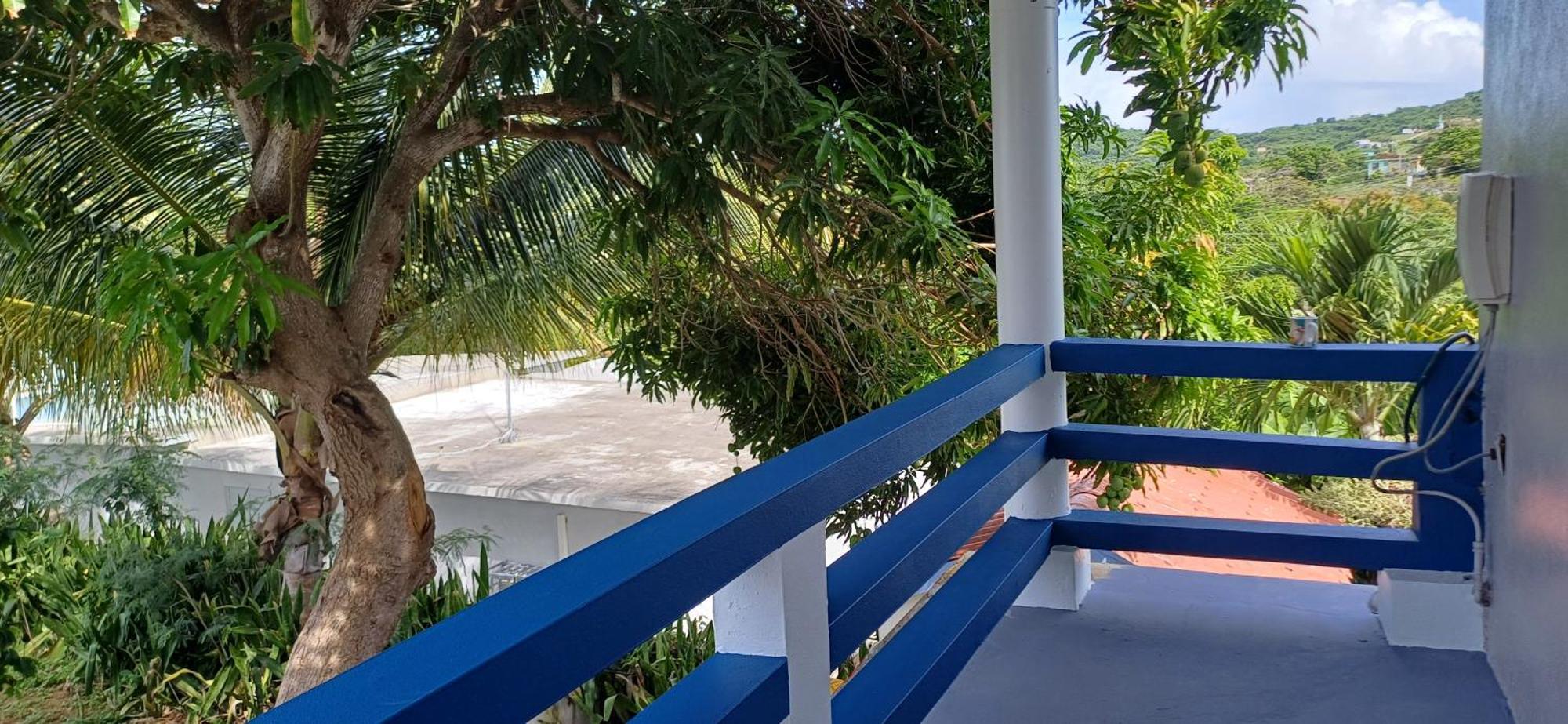 Rooster Run Glamping Camping Has Rooftop And Off The Ground Glamping Experience For 1 To 16 In A Single Tent And Views Of The Rain Forrest And To Culebra Across The Atlantic Ocean W Tents, Linens, Deluxe Air Beds, Warm Shower And More At A Great Pric Vieques Dış mekan fotoğraf