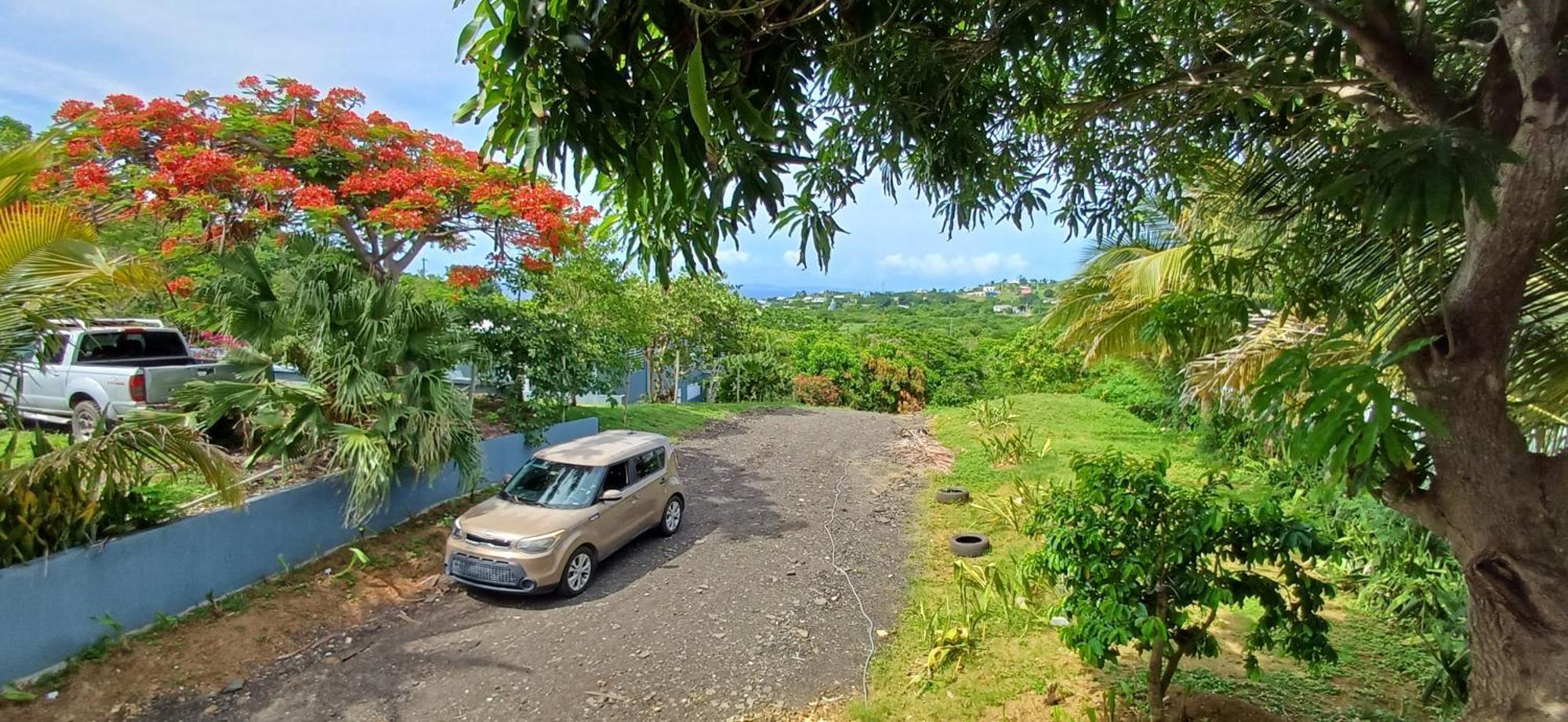 Rooster Run Glamping Camping Has Rooftop And Off The Ground Glamping Experience For 1 To 16 In A Single Tent And Views Of The Rain Forrest And To Culebra Across The Atlantic Ocean W Tents, Linens, Deluxe Air Beds, Warm Shower And More At A Great Pric Vieques Dış mekan fotoğraf