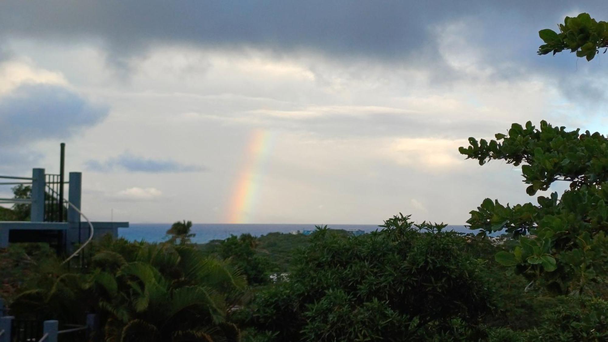 Rooster Run Glamping Camping Has Rooftop And Off The Ground Glamping Experience For 1 To 16 In A Single Tent And Views Of The Rain Forrest And To Culebra Across The Atlantic Ocean W Tents, Linens, Deluxe Air Beds, Warm Shower And More At A Great Pric Vieques Dış mekan fotoğraf