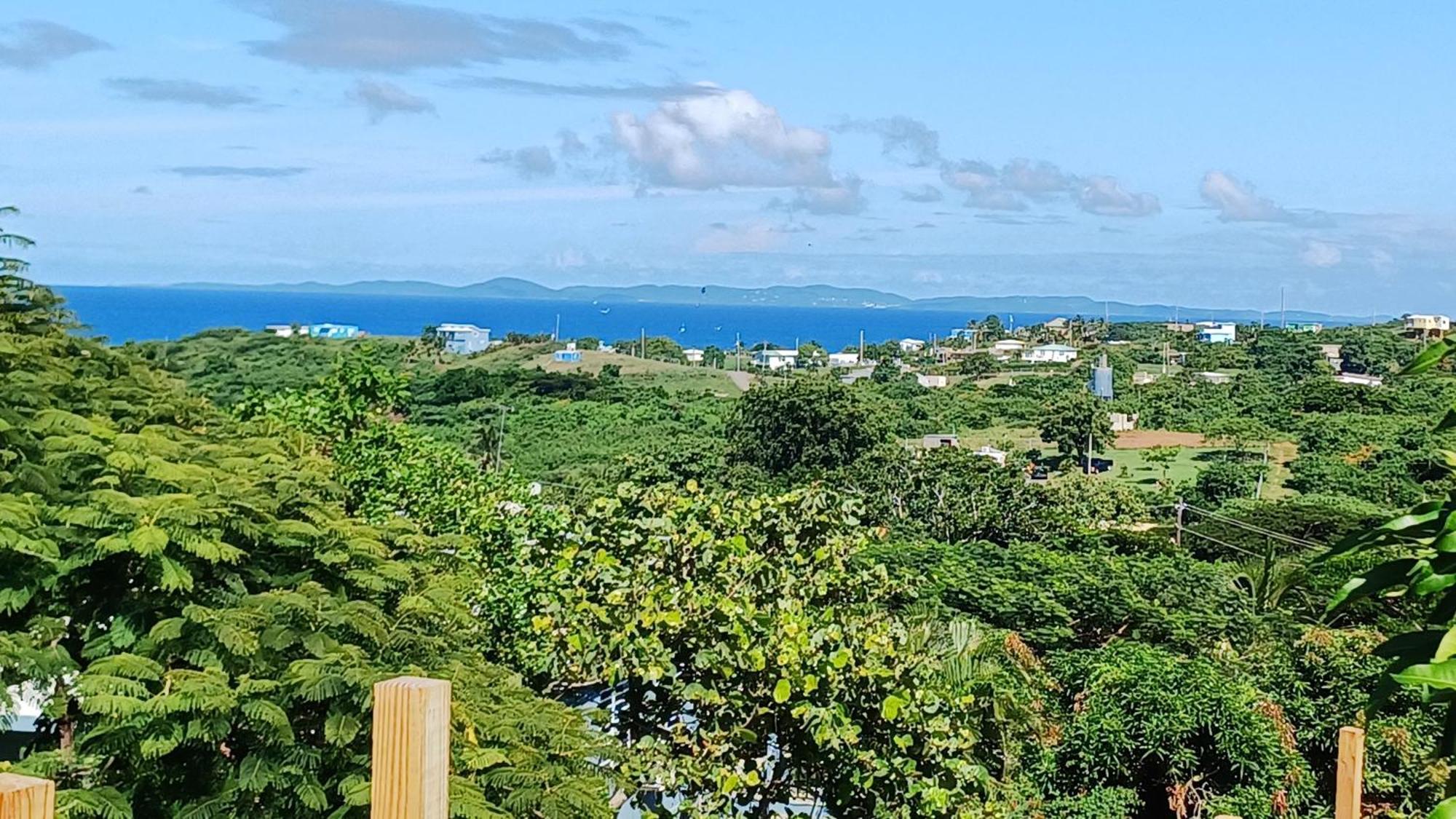 Rooster Run Glamping Camping Has Rooftop And Off The Ground Glamping Experience For 1 To 16 In A Single Tent And Views Of The Rain Forrest And To Culebra Across The Atlantic Ocean W Tents, Linens, Deluxe Air Beds, Warm Shower And More At A Great Pric Vieques Dış mekan fotoğraf
